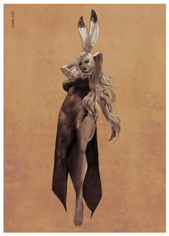 FFXII Sepia Fran Print