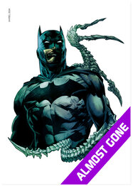 DC Comics Batman Print Outlet